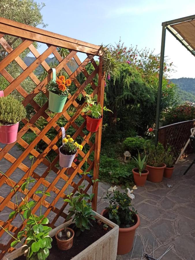 Il Glicine Cozy Appartamnent, Near Sestri Levante Between Cinque Terre E Portofino Casarza Ligure Exterior foto