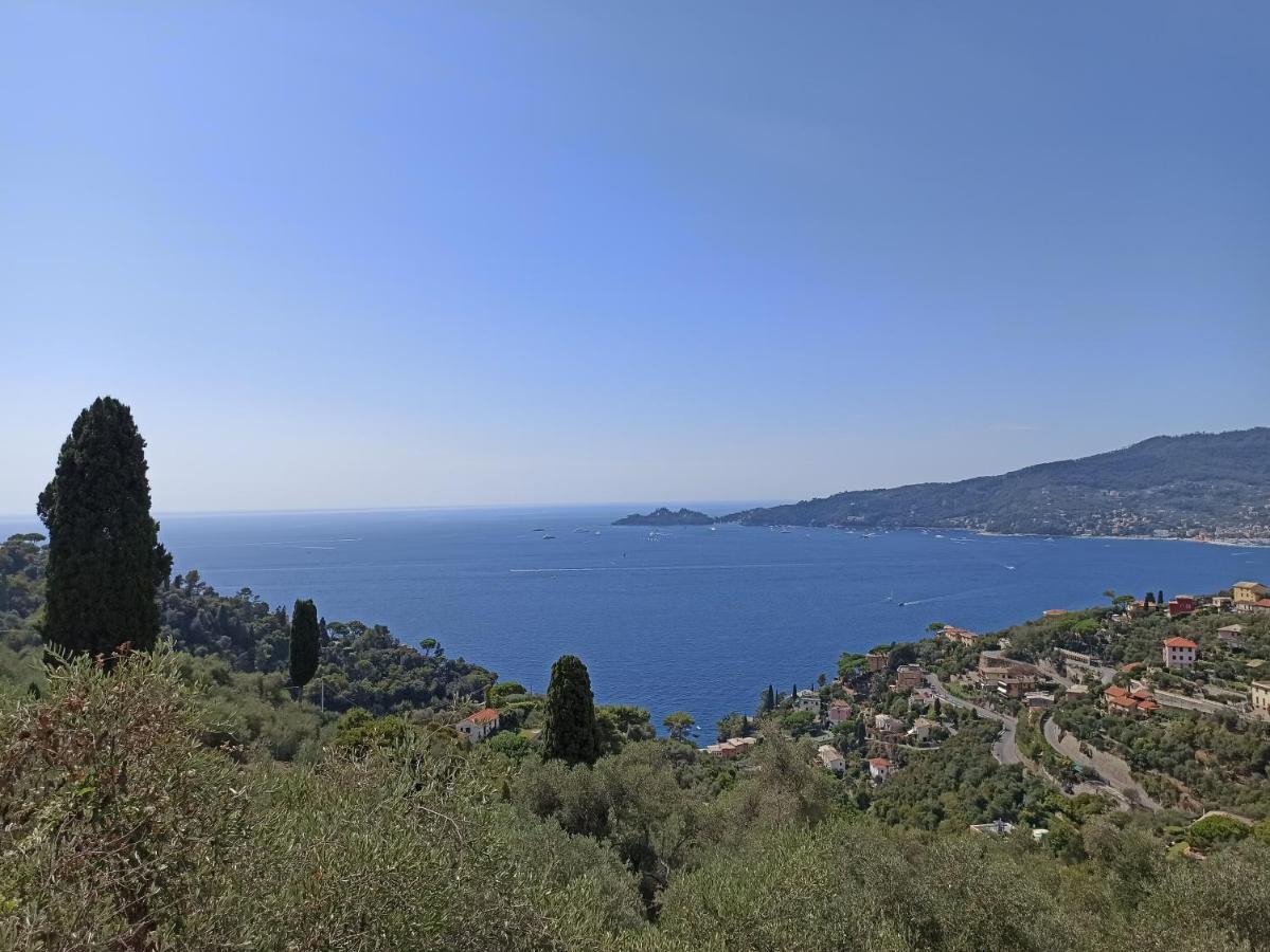 Il Glicine Cozy Appartamnent, Near Sestri Levante Between Cinque Terre E Portofino Casarza Ligure Exterior foto